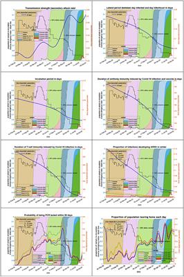 Using a Dynamic Causal Model to validate previous predictions and offer a 12-month forecast of the long-term effects of the COVID-19 epidemic in the UK